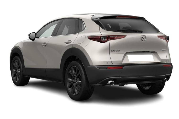 mazda cx-30 2.5 e-skyactiv g mhev 140 exclusive-line 5dr auto back view