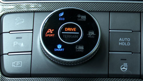 HYUNDAI SANTA FE DIESEL ESTATE 2.2 CRDi Premium 5dr 4WD Auto view 11