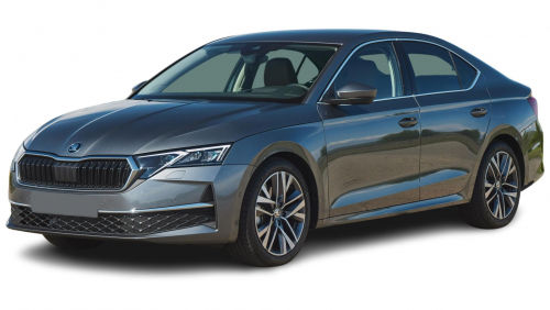 SKODA OCTAVIA HATCHBACK 2.0 TSI vRS 5dr DSG view 17