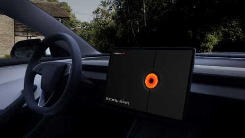 TESLA MODEL 3 SALOON Performance AWD 4dr Auto view 12