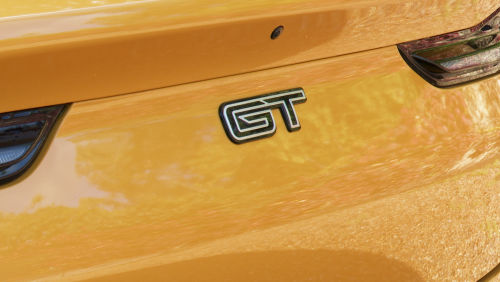 FORD MUSTANG CONVERTIBLE 5.0 V8 GT 2dr view 8